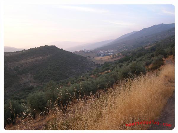 Vista Camino Del Peñon